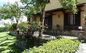 La Casina Appartamento Nel Cuore Di Greve In Chianti